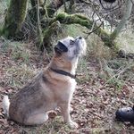 Profile Picture of Laura Dunbar (@lauramdunbar) on Instagram