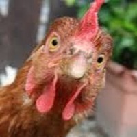 Profile Picture of Max Nagler (@max-nagler-4) on Quora