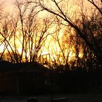 Profile Picture of Jordan Farrow (@jordan_farrow0) on Instagram