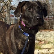 Profile Picture of Terry Kramer (@terrykramer5267) on Youtube