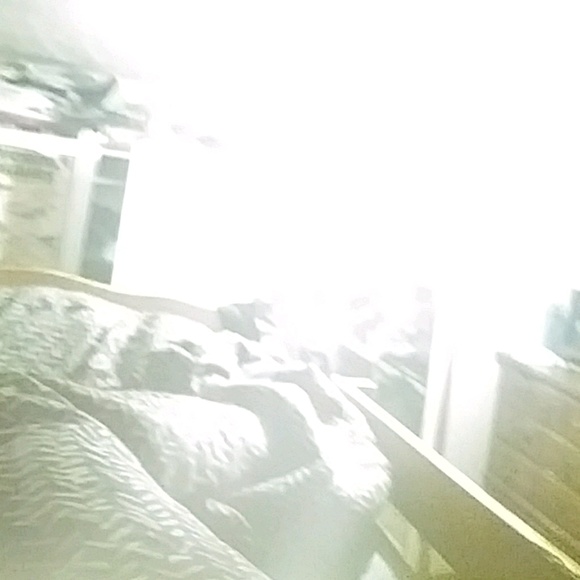 Profile Picture of Isaiah Kelly (@isaiahkelly15) on Poshmark