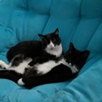 Profile Picture of Beth Tupper Davis (@beth.t.davis.9) on Instagram