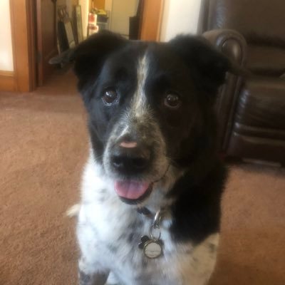 Profile Picture of Soitenly (@MattBice4) on Twitter