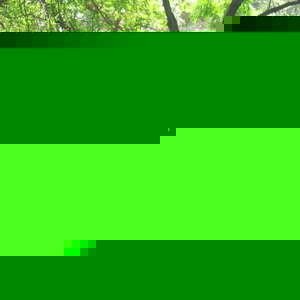 Profile Picture of Jodi Reitmeier (@smile4me99403) on Myspace