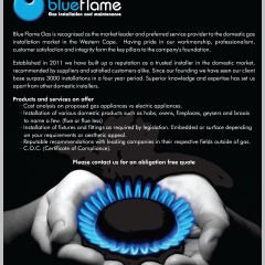 Profile Picture of Daniel Wessels (@blueflamegasins) on Twitter