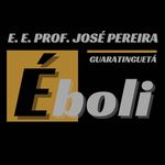 Profile Picture of PEI - Prof. José Pereira Éboli (@josepereiraeboli) on Instagram