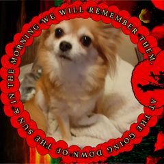 Profile Picture of Sylvia Hunwick (@sylviahunwick) on Tiktok