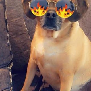 Profile Picture of Jimmy Whirley (@jimmy.whirley.9) on Facebook