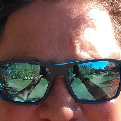 Profile Picture of Dirk Bachmann (@DirkBachmann7) on Twitter