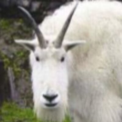 Profile Picture of John Bohr (@SoBohring) on Twitter