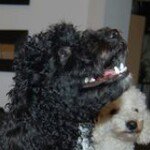 Profile Picture of David Grundmann (@davidgrundmann) on Instagram