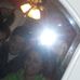 Profile Picture of Nick Carnevale (@nick.carnevale.39) on Facebook