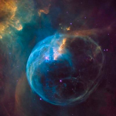 Profile Picture of Nick DiNapoli (@NickDiNapoli739) on Twitter