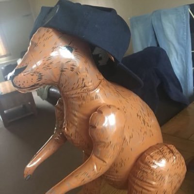 Profile Picture of Joe Coggins (@coggins_joe) on Twitter