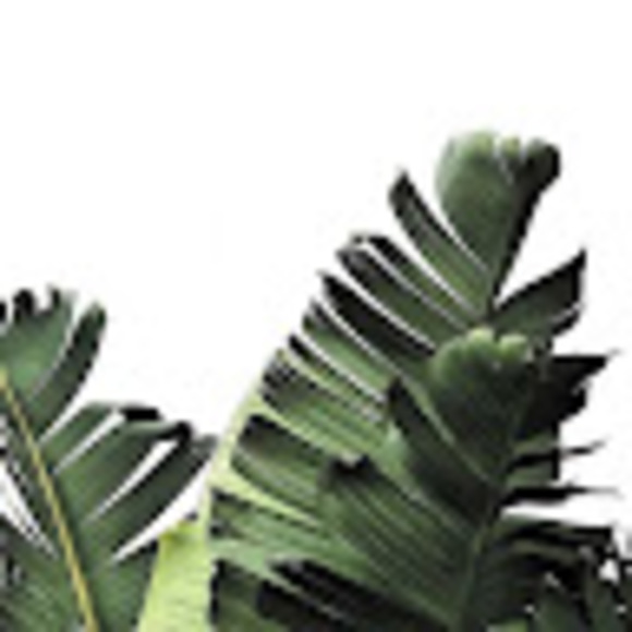 Profile Picture of Jazmin James (@jazminjames95) on Poshmark