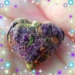 Profile Picture of Mandie Cottrell (@mandie.cotterll) on Instagram