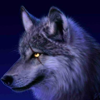 Profile Picture of Bradley Conley (@2d2a63e80db144b) on Twitter