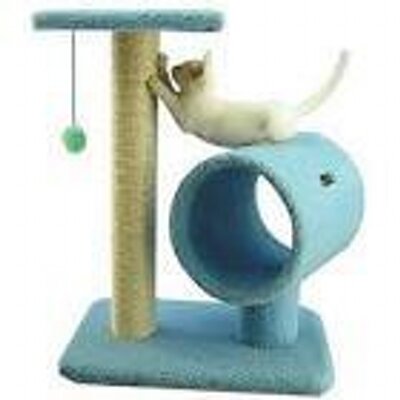 Ada Barbosa Camacho - Twitter Profile Picture of Ada Barbosa Camacho (@bitacorautmpica) on Twitter