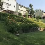 Profile Picture of Nancy Determan (@Nancy-Determan) on Facebook