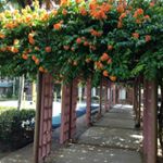 Profile Picture of Peter Tan (@petertanzxc) on Instagram