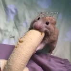 Profile Picture of Ja Mes Stiola (@Ja-Mes-Stiola) on Facebook