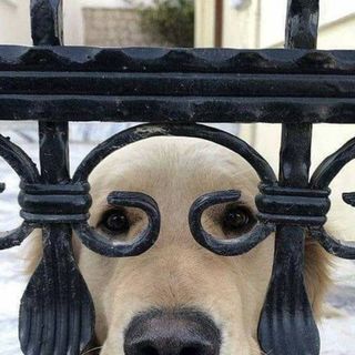 Profile Picture of Howard Brobst (@howard.brobst) on Facebook