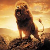 Profile Picture of Sridhar Pamireddy (@sridhar-pamireddy) on Quora