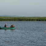 tobi watkins - Instagram Profile Picture of tobi watkins (@tobi.watkins) on Instagram