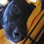Profile Picture of Eric Basilo (@ericb245) on Instagram