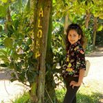 Shamama - Instagram Profile Picture of Shamama (@ashraf_shamama) on Instagram