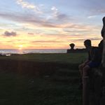 Murray Cook - Instagram Profile Picture of Murray Cook (@murray_cook_) on Instagram