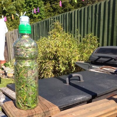 Profile Picture of Gary T Grass Bottle (@Garygrassbottle) on Twitter