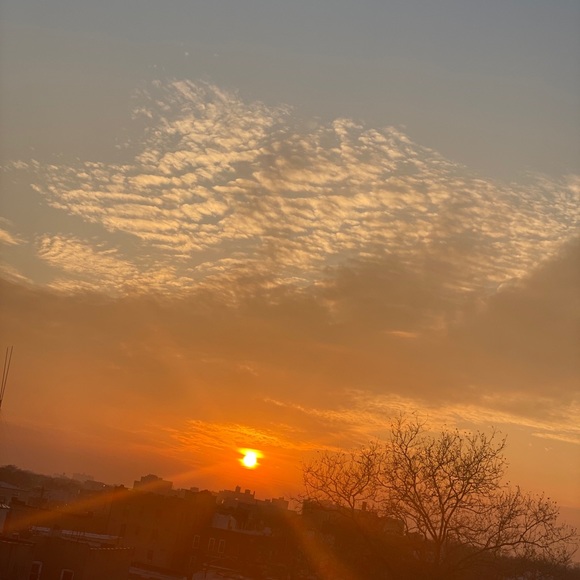 Profile Picture of Jandon Gervis (@king_jando) on Poshmark