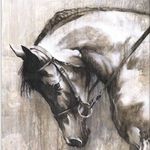 Profile Picture of Janet Lee Crosser (@janetleecrosser) on Instagram