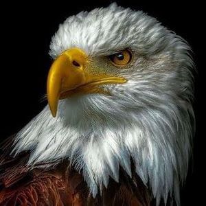 Profile Picture of stinger199 (@markrupe) on Tiktok