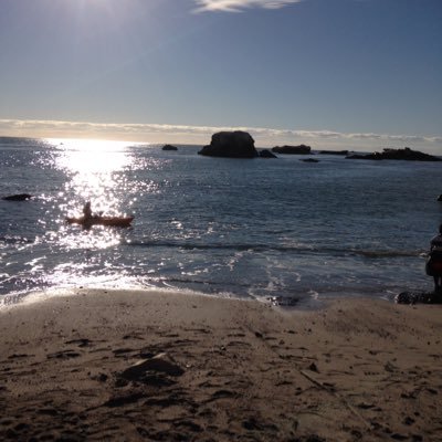 Profile Picture of Adam Joseph Hammett (@AdamJHammett) on Twitter