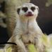 Profile Picture of Ben Badger (@ben.badger.718689) on Facebook