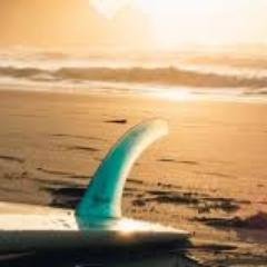 Profile Picture of Mike McCarver (@mikewmccarver) on Twitter