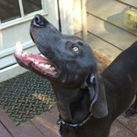 Profile Picture of Jeremy Fix (@jeremy-fix) on Quora