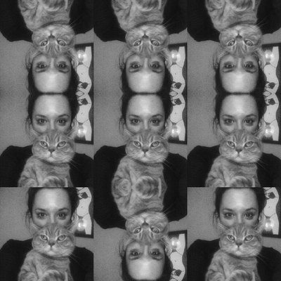 Profile Picture of Rachael Stocker (@shouterhardy) on Twitter
