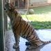 Profile Picture of Joseph Swanson (@jpswanson85) on Pinterest
