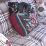 Judy Lloyd - Instagram Profile Picture of Judy Lloyd (@judyllloyd) on Instagram