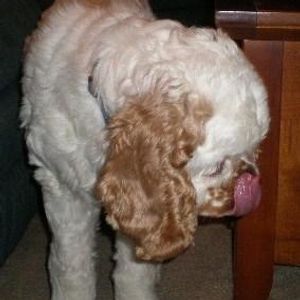 Profile Picture of Matt Legg (@443636538) on Myspace