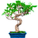 Profile Picture of Vince Stephens (@vincent stephens) on Flickr