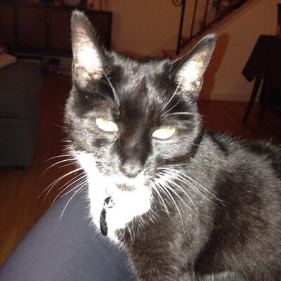 Profile Picture of James Lovato (@jamesrsandusky) on Twitter