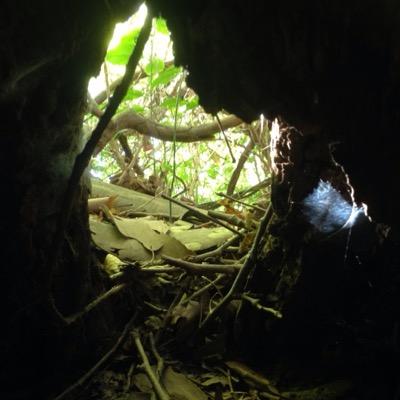 Profile Picture of Sam Manns (@sam_manns) on Twitter