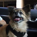 Profile Picture of Kenneth Olague (@k24z7_munkie) on Instagram