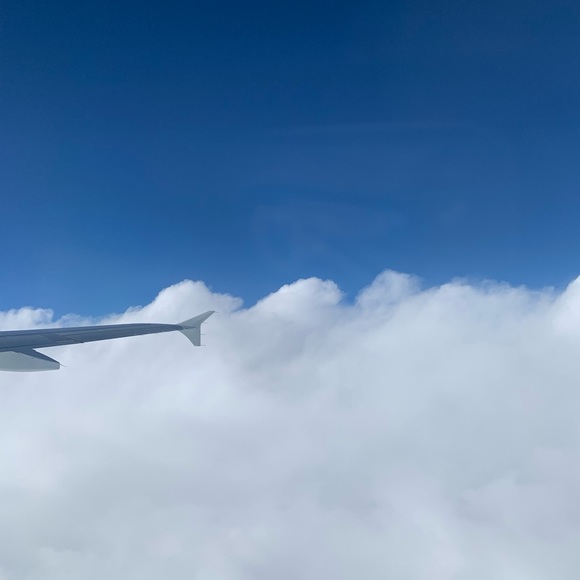 Profile Picture of Tyler Rhenals (@myguytyler) on Poshmark