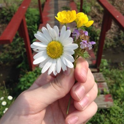 Profile Picture of Benjamin Nicol (@Its_Beeen) on Twitter