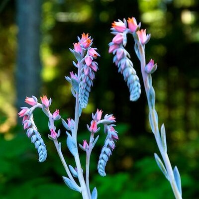 Profile Picture of Quinn Morris (@QuinnM0rris) on Twitter